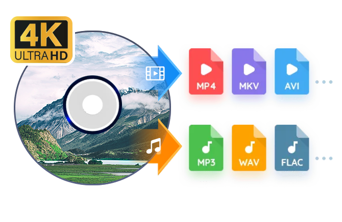 DVD-Discs / ISO-Dateien / DVD-Ordner in gängige Videoformate
konvertieren