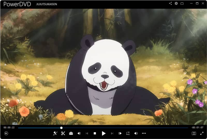 CyberLink PowerDVD 24 Bluray abspielen