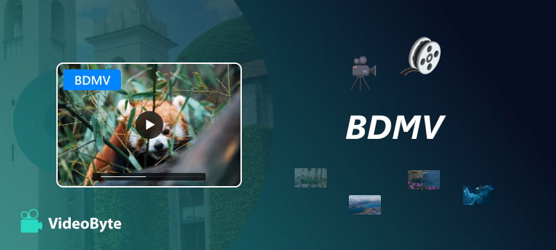 BDMV