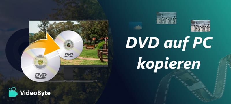 DVD auf PC kopieren