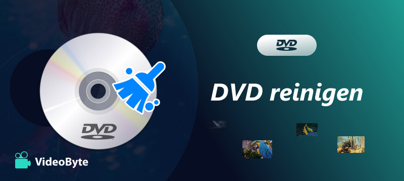 DVD reinigen