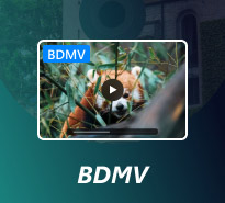 BDMV