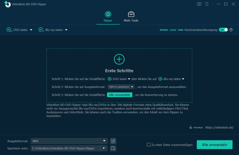 DVD in VideoByte BD-DVD Ripper laden