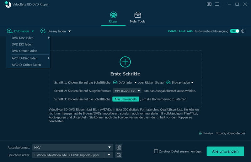 VideoByte BD-DVD Ripper starten