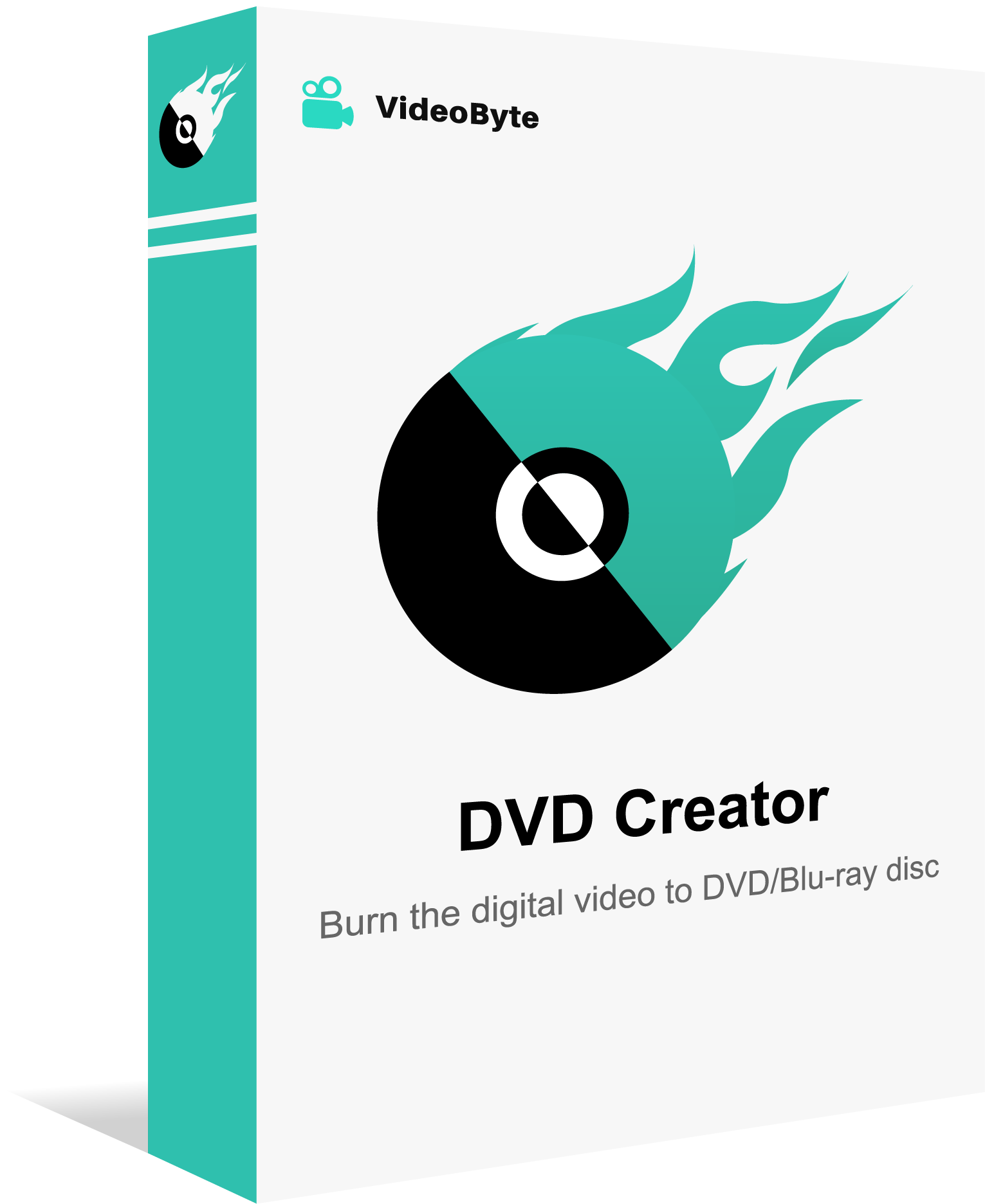 VideoByte DVD Creator (Windows) - 1 Monat
